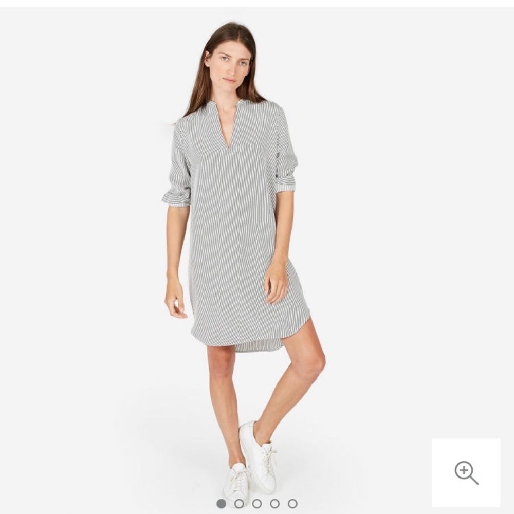Everlane Silk Split-Neck Shirt Dress